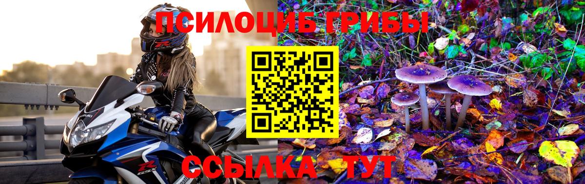 где продают наркотики  Галлюциногенные грибы Magic Shrooms  Вход с VPN  Искитим 